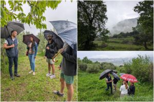 Vardia Vineyards - Gems of Vardia