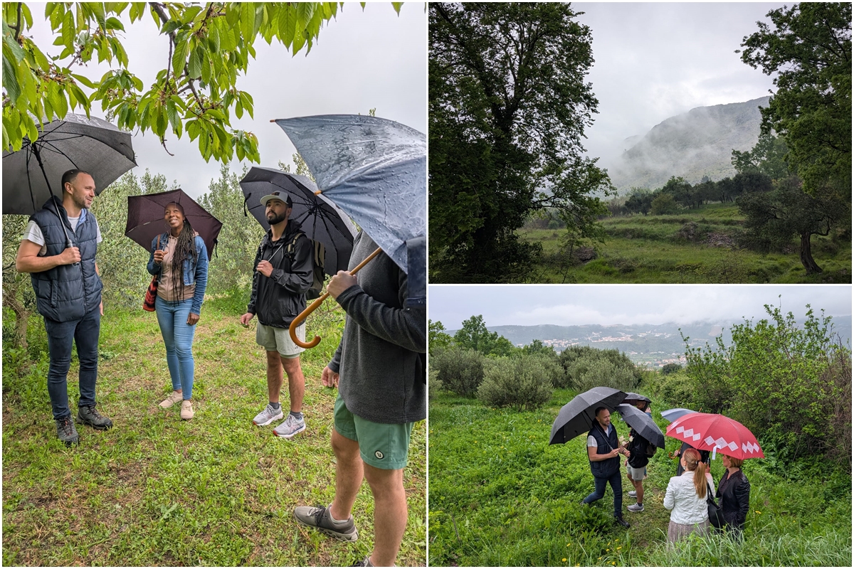 Vardia Vineyards - Gems of Vardia